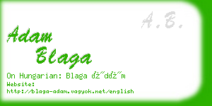 adam blaga business card